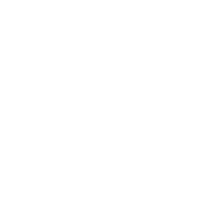 Croft managed service provider white public sector icon