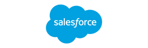 Cloud backup and disaster recovery Salesforce logo