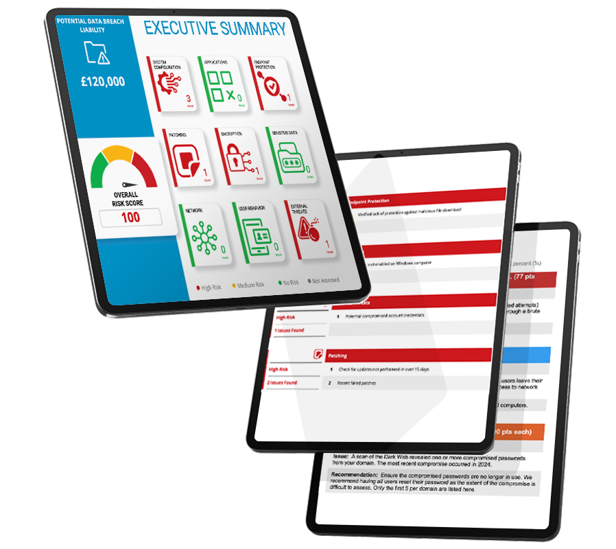 IT security assessment reports
