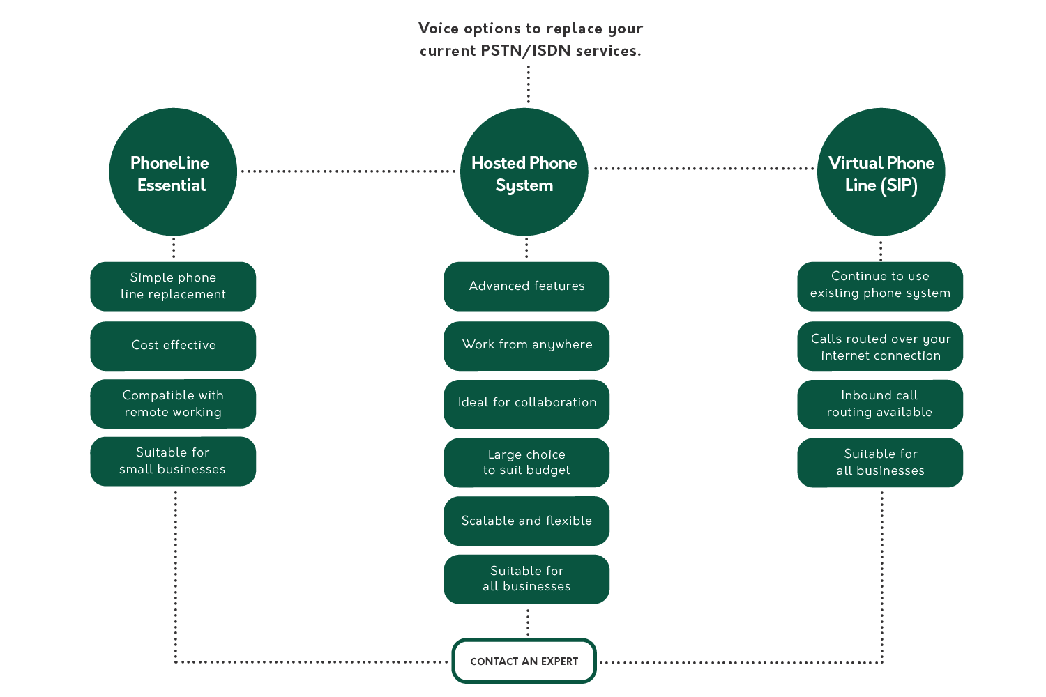 PSTN voice options